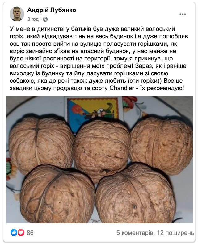 Заголовок