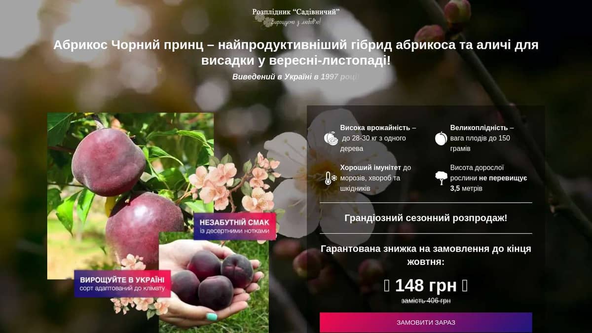 Абрикос Чорний принц | Ориганільний сорт!