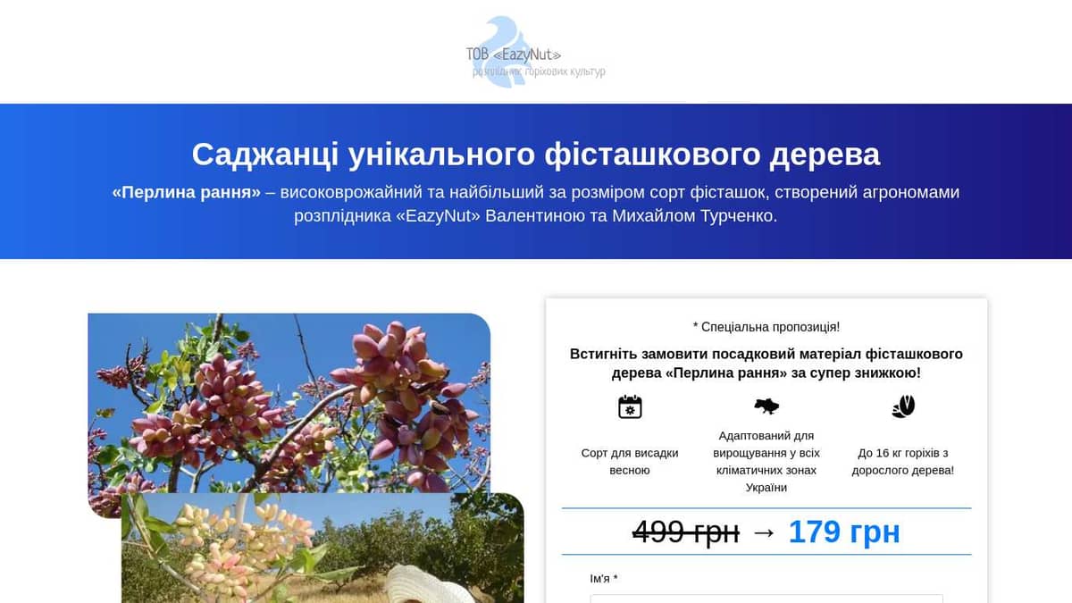 Фісташкове дерево раннього терміну дозрівання - ПЕРЛИНА!