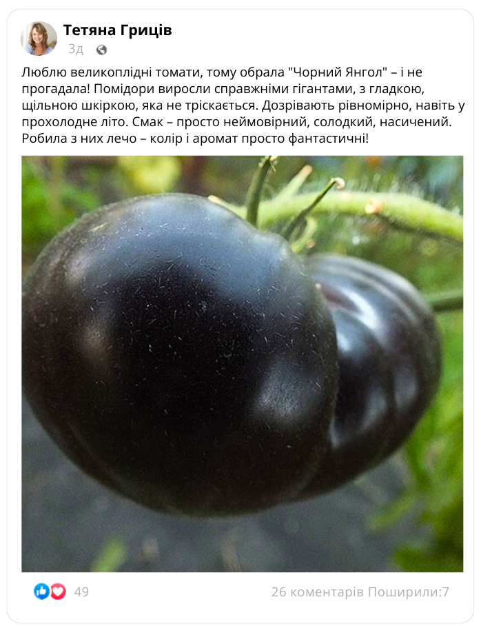 Заголовок