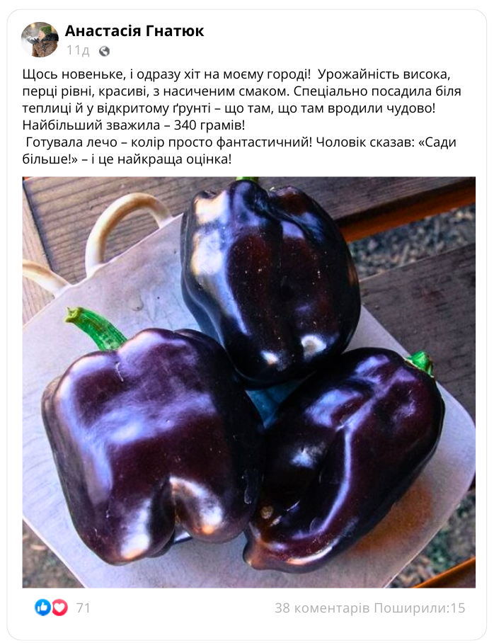 Заголовок