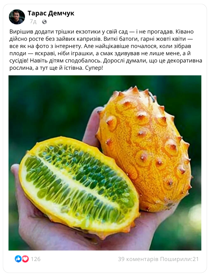Заголовок