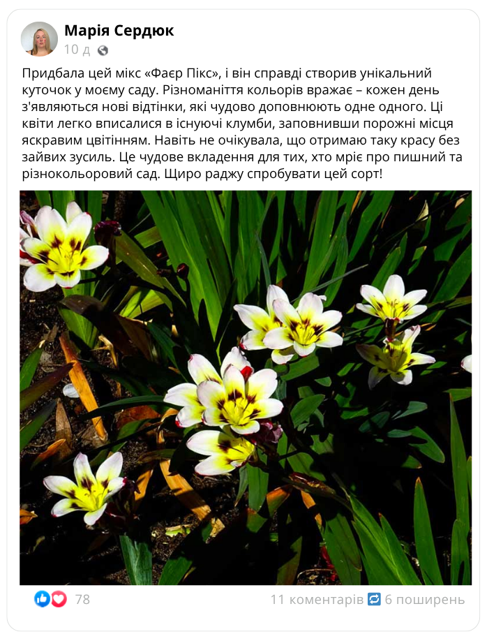 Заголовок