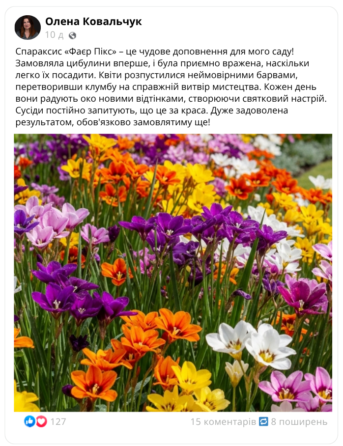 Заголовок