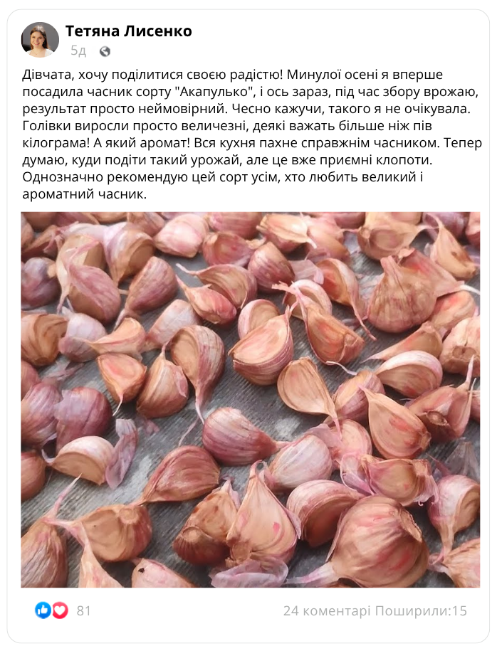 Заголовок