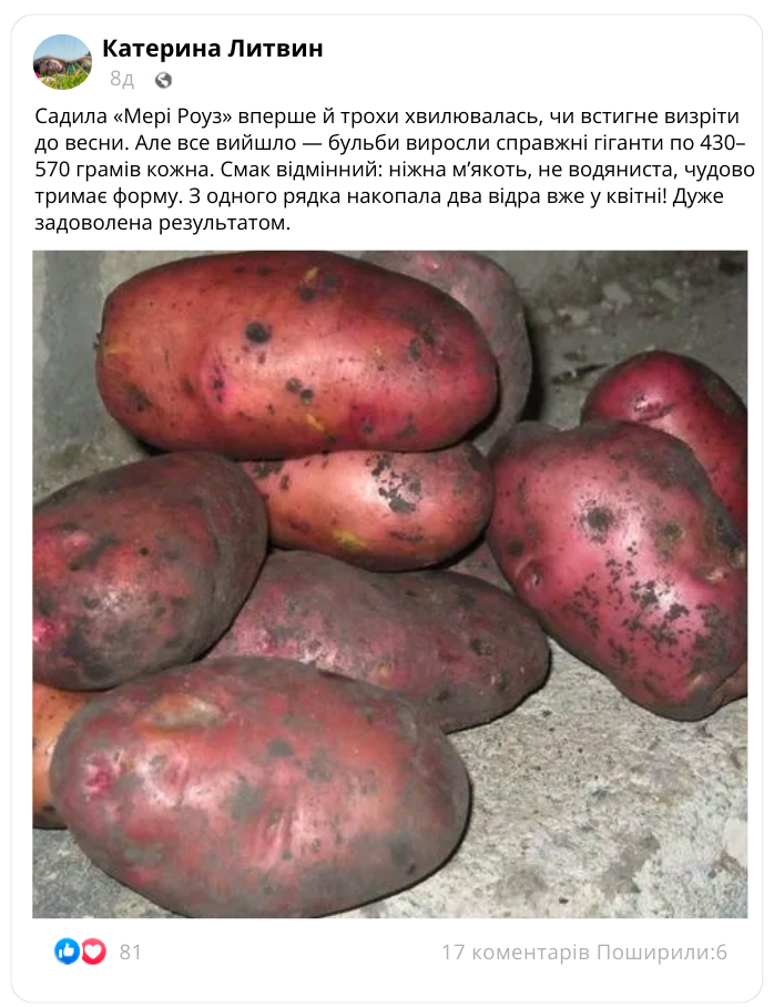 Image title