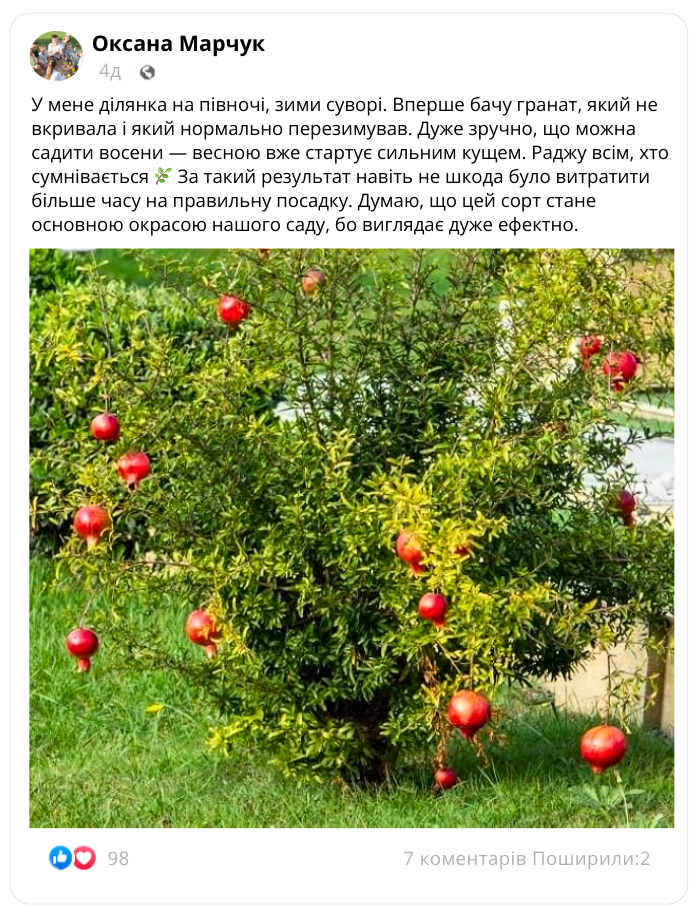 Заголовок